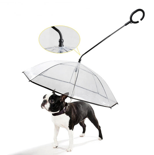 Feluna™ Pet Umbrella – Walks Without Wet Paws